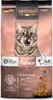 A bag of Leonardo Adult Salmon GF cat food with a cat image. Produktbild-Vorschau