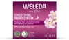 Weleda Wildrose & Weiß er Tee Glä ttende Nachtcreme Produktbild-Vorschau 3