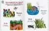 Die kleine Raupe Nimmersatt - Mein Buch der Krabbeltiere Produktbild-Vorschau 3