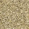 Słonecznik łuskany 1kg (2x500g) Podgląd zdjęcia produktu 3