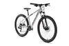 Axess BRASH leichtes Hardtail Mountainbike 29 Zoll Hellgrau Produktbild-Vorschau 2
