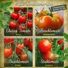 Artikelbild 3 von 'Alte Tomatensorten Set [MHD 01/2027]' aus der Kategorie Gemüsesamen-Sets Produktbild-Vorschau