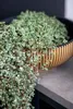 Capi Europe - Schale Groove Indoor - Goud - 40x15 Productafbeelding-voorbeeld 7