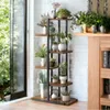 A multi-tiered plant stand filled with various plants is placed next to a window and a fireplace. Anteprima dell’immagine prodotto