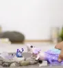 Súprava na objavovanie axolotlov Náhľad obrázku produktu 5