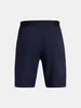 Under Armour Herren Shorts Ua Vanish Woven 8In Shorts Produktbild-Vorschau 4