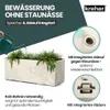 Kreher® XL Pflanzkasten „Millennium“ 99x37,5x37,5 cm - 100L Produktbild-Vorschau 6