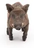 Papo 53011 - Cinghiale - Figurina Anteprima dell’immagine prodotto 5