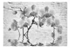 Basera Fototapete Orchideenmotiv b-A-0228-a-d, Vliestapete, Produktbild-Vorschau 2