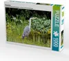 Calvendo Graureiher 1000 Teile Puzzle quer 640x480mm, Produktbild-Vorschau 1