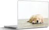 MuchoWow® Laptop Aufkleber Sticker Cover Ein Porträt eines Produktbild-Vorschau 1