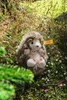 Steiff Babyigel Joggi 10 cm 070587 Produktbild-Vorschau 2