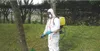 Combinaison phytosanitaire 3M, blanc taille XL Voir les images du produit 1