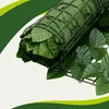 Gardlov 25343 Balkónová zástěna s tmavě zelenými listy 300 Náhled obrázku produktu 4