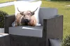 MuchoWow® Outdoor Kissen - Porträt Schottisches Produktbild-Vorschau 5