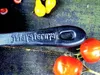 Gusseisenpfanne Ø28 cm 6 cm hoch mit Glasdeckel MAYSTERNYA Produktbild-Vorschau 5