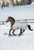 BUCAS Power Turnout Extra 300g Winterdecke Weidedecke Produktbild-Vorschau 12
