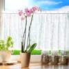 KADAX kvetináč "Cerda", kvetináč na orchideu, orchidea, Náhľad obrázku produktu 2