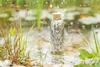 Carry Trinkflasche 0,7l Flower of Life, klar/weiß Produktbild-Vorschau 4
