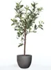 Emerald Künstlicher Mini Olivenbaum 65 cm Produktbild-Vorschau 1