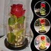 Ewige Rose unter Glas mit LED, rote Dekorationsrose, Produktbild-Vorschau 15