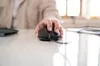 Cherry GENTIX Corded Optical Illuminated Mouse Produktbild-Vorschau 18