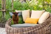 MuchoWow® Outdoor Kissen - Schottische Hochlandrind - Kühe Produktbild-Vorschau 3