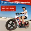 Elektro-Kindermotorrad DNA 16 250W 16 Zoll Electric Laufrad Produktbild-Vorschau 7