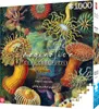 Cenega Imagination, 1000 kusov, Umenie Náhľad obrázku produktu 5