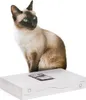 Scratch 2 in 1 | Katzenkratzer Kanadische Katze | WHITE Produktbild-Vorschau 1