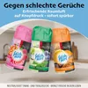 Fresh & More Lufterfrischer Nachfüller (12er Mix Pack) Produktbild-Vorschau 6