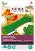 Buzzy Xotica Chinesischer Schnittlauch Samen - Ca. 3 gr | Produktbild-Vorschau 4
