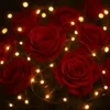 A close-up of red roses intertwined with fairy lights. Produktbild-Vorschau