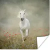 MuchoWow® Poster Pferd - Stoff - Blumen 100x100 cm - Produktbild-Vorschau 1