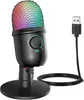 USB-Mikrofon, Kondensator-PC-Mikrofon, Mini-Mikrofon, Produktbild-Vorschau 1