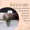 4er Set Orchideentopf Transparent Orchideen Übertopf Produktbild-Vorschau 5