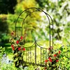 Garden Pergola Rundbogen Für Rosen Blumentor Produktbild-Vorschau 4