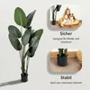 IvoQ Strelitzia Kunstpflanze 160 cm - Große Produktbild-Vorschau 7