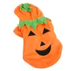 Kürbis-Hundekleidung,Halloween-Kürbis-Hundekleidung,Hunde-Wi Produktbild-Vorschau 2