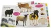 Erstes Lernen. Bauernhof Produktbild-Vorschau 10
