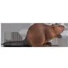Animal Planet Biber Produktbild-Vorschau 1