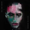 We Are Chaos, CD Náhľad obrázku produktu 1