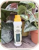 Flüssigdünger für Zimmerpflanzen 300ml - Monstera und Produktbild-Vorschau 6