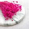Flachs Getrocknete - (Leinen) - Fuchsia Produktbild-Vorschau 7