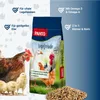 PANTO Legefreude 25kg - Körnermischung für Legehennen Produktbild-Vorschau 2