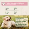 A dog lying on grass with a marketing graphic overlay about feeding recommendations and product features. Produktbild-Vorschau