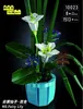 Mould King® 10023 Lys magique Voir les images du produit 2