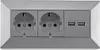 A close-up, front-facing view of a silver electrical outlet with two standard European sockets and two USB ports. Anteprima dell’immagine prodotto