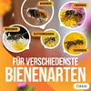 BEESI 100x Bambusröhrchen für Insektenhotel I 14 cm Länge I Produktbild-Vorschau 5