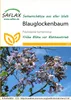 Artikelbild 1 von 'Blauglockenbaum' aus der Kategorie Exotische Samen Voir les images du produit